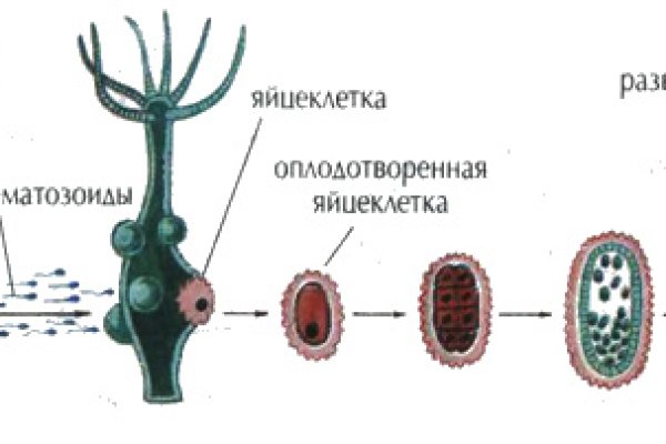 Кракен это что за сайт