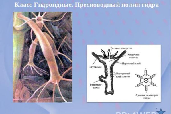 Официальная тор ссылка кракен сайта